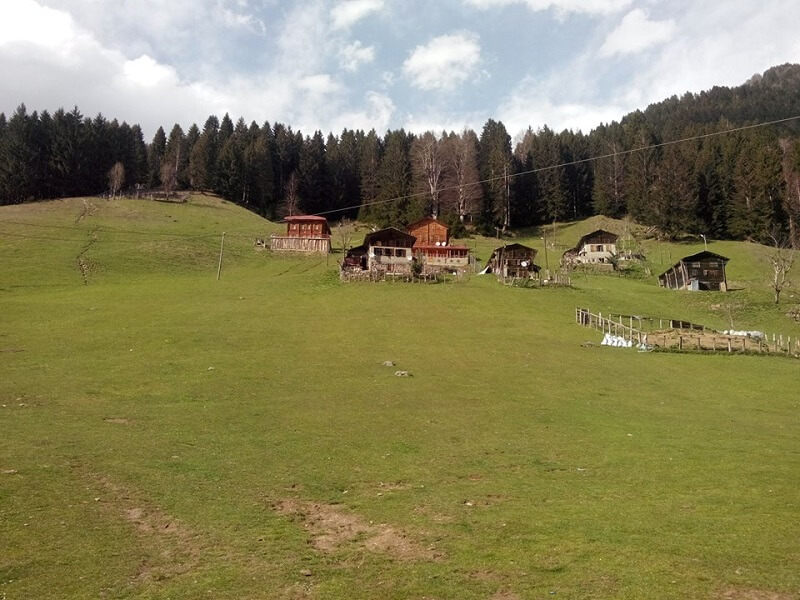 Ayder Yaylası-Rize