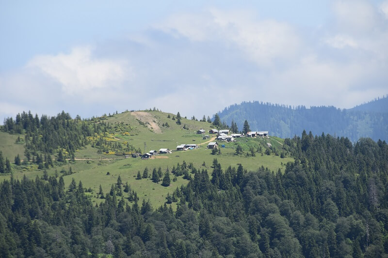 Badara Yaylası-Rize 