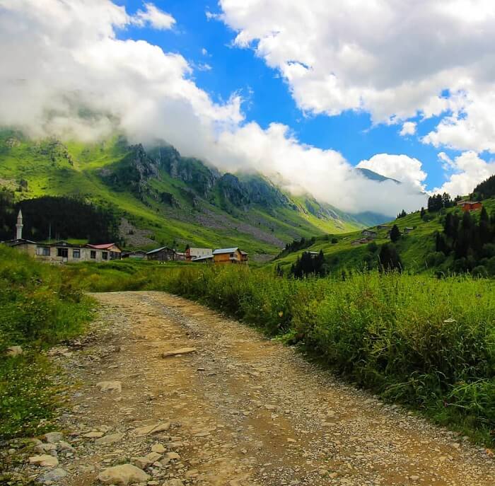 Elevit Yaylası-Rize