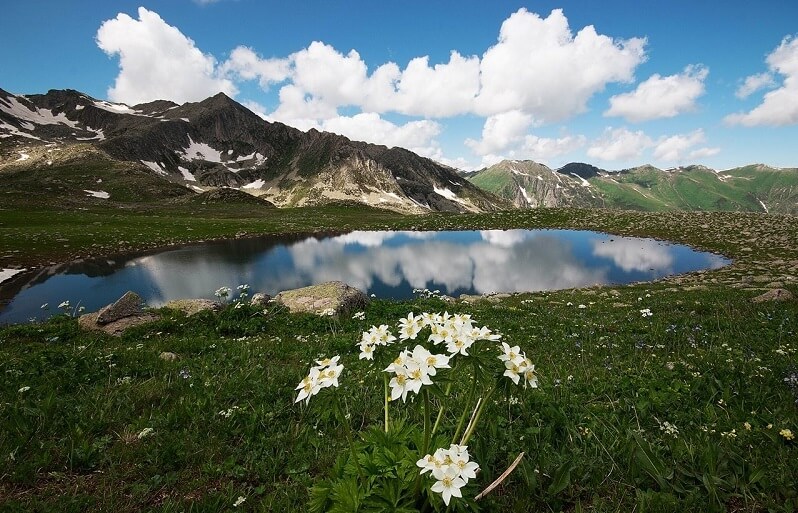 Buzul Gölü-Rize