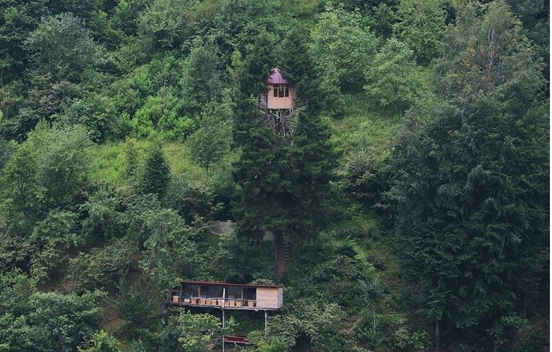 Kestane Balı-Hemşin