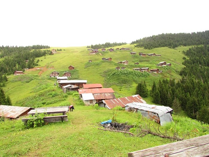 Pokut Yaylası-Rize'de gezilecek yerler
