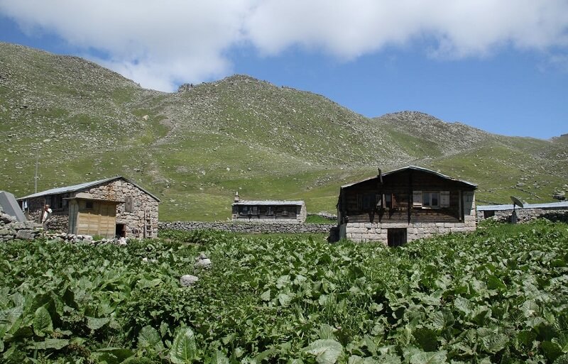Samistal Yaylası Rize-Çamlıhemşin
