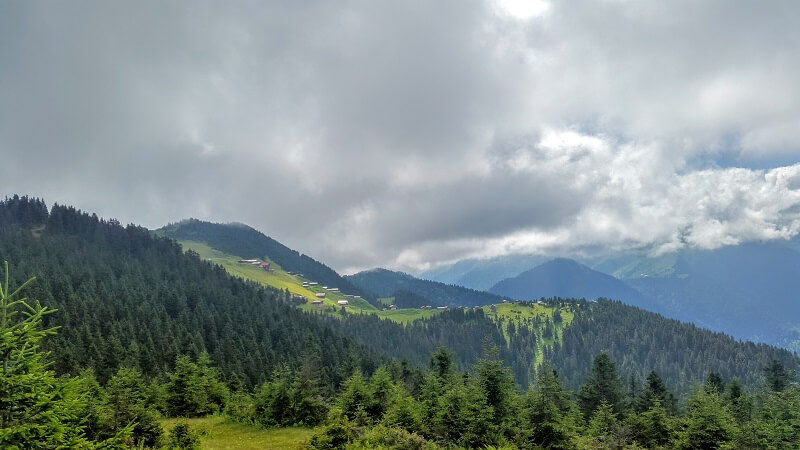 Pokut Yaylası-Rize