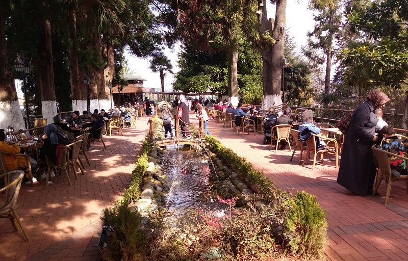 Ziraat Çay Bahçesi-Rize-Doğu Karadeniz