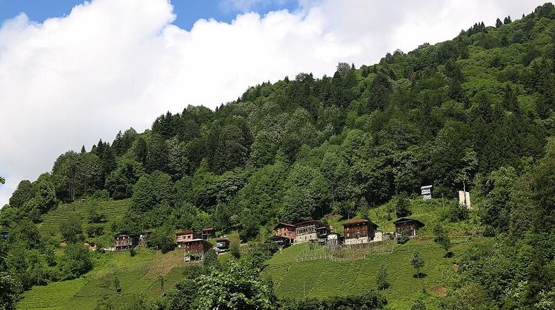 Kantarlı 