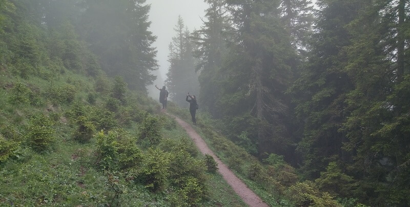 Ayder Yaylası-Huser Yaylası Yürüyüş Yolu