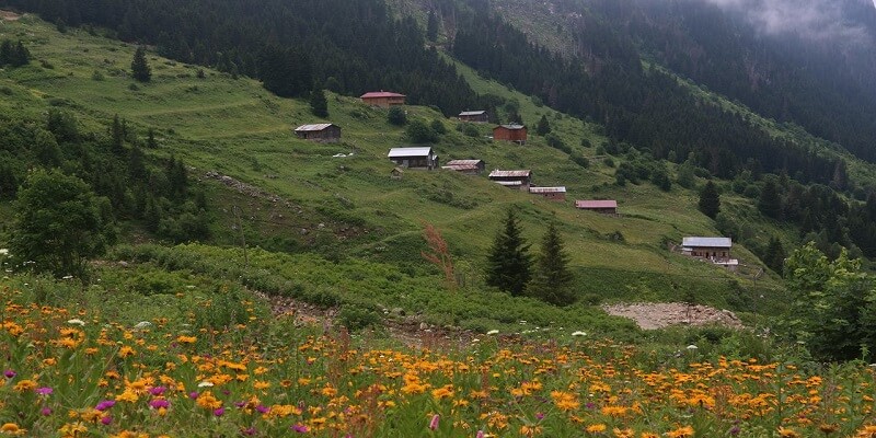 Rize Yaylaları