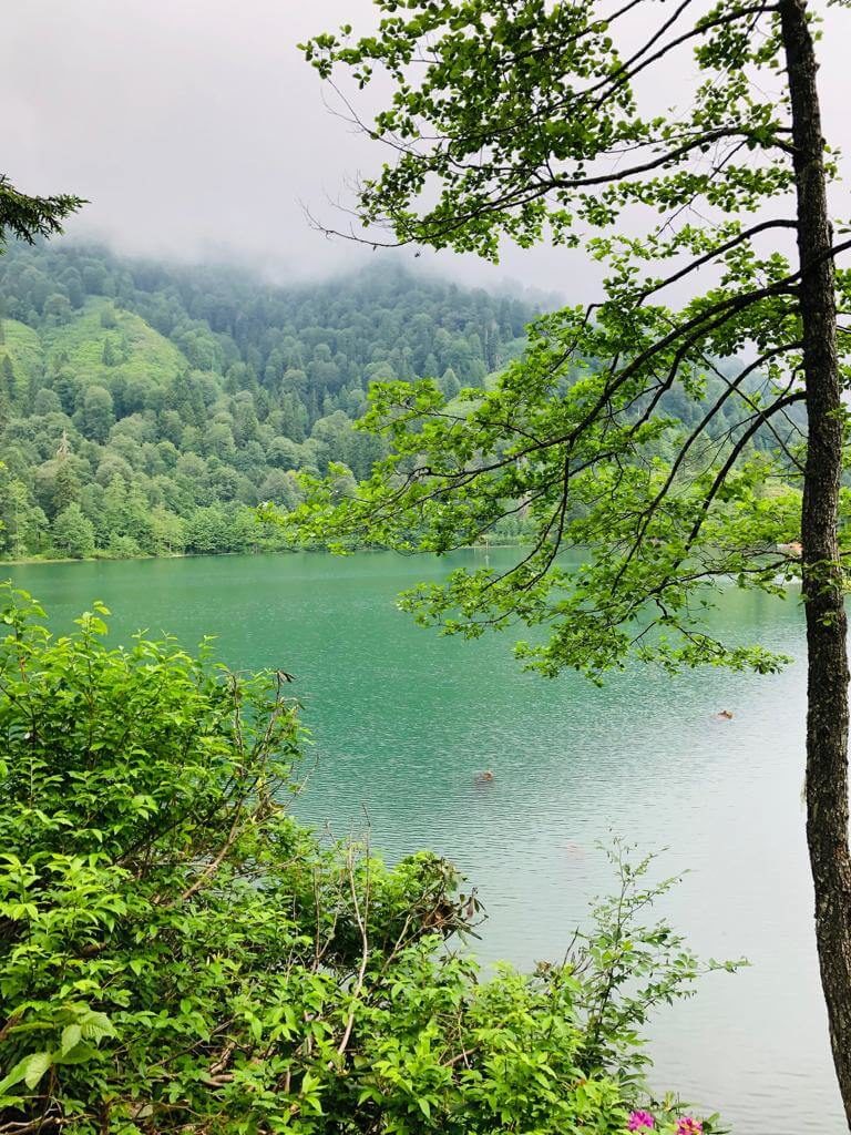 Borçka Karagöl Seyir